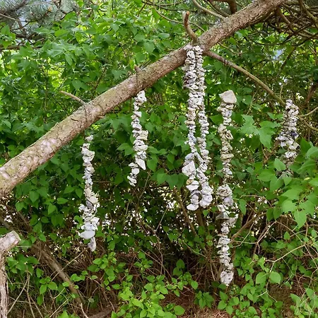 Gorgeous In With Wifi